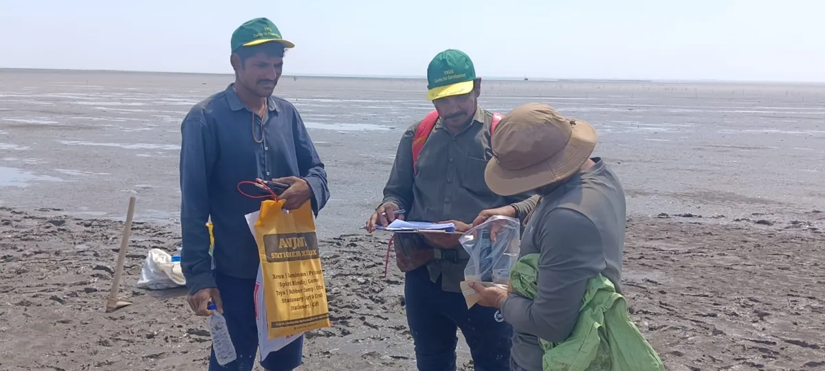 Three people on a mudflat, two in VIKAS Centre for Development caps, checking a clipboard and a bagged sample.