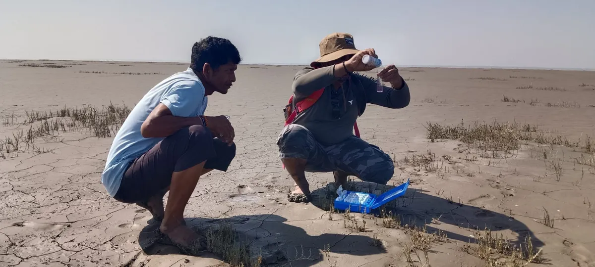 Two people crouching on dry, cracked mud with sparse salt-tolerant plants, one holding up a test vial from an open field kit.